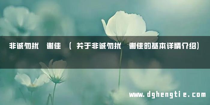 非诚勿扰 谢佳 (关于非诚勿扰 谢佳的基本详情介绍)